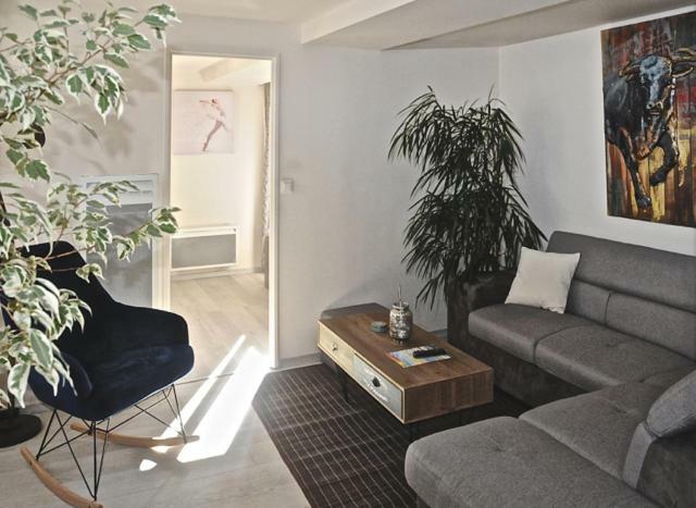 Châtillon-Coligny Gite, Location Meuble De Tourisme 3 Etoiles מראה חיצוני תמונה